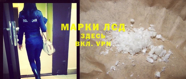 стаф Сосновый Бор