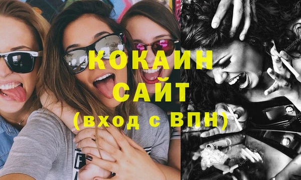 мдпв Апатиты