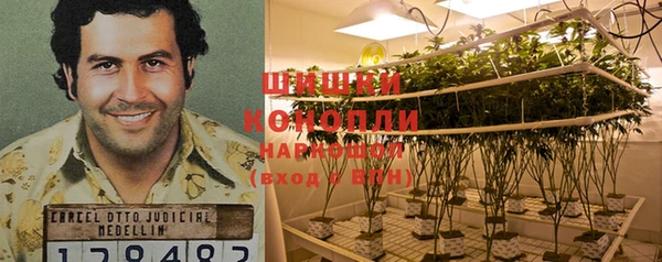 таблы Медногорск