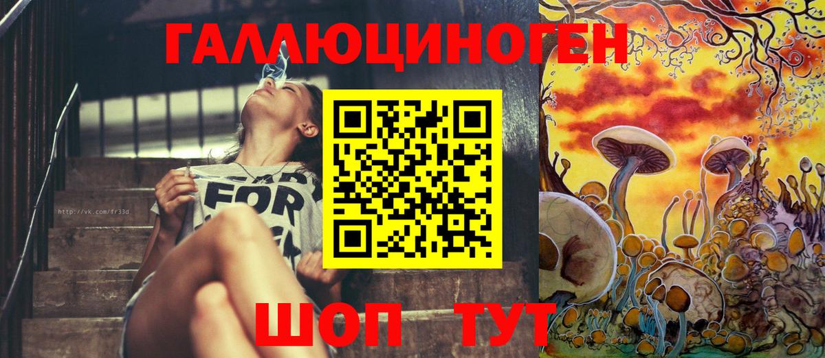 Псилоцибиновые грибы GOLDEN TEACHER  Гуково 