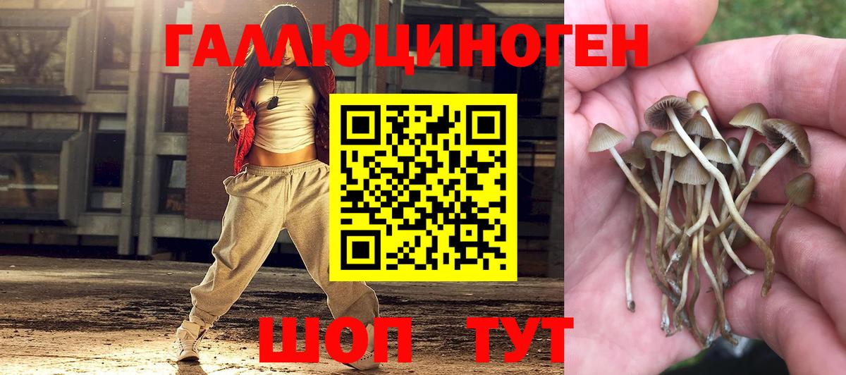 Псилоцибиновые грибы мицелий Гуково