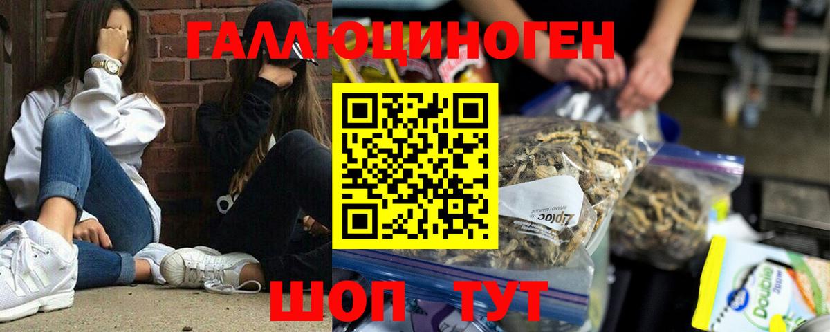 Галлюциногенные грибы мицелий  Вход с VPN  Гуково 